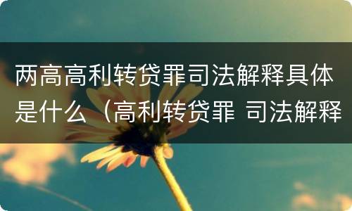 两高高利转贷罪司法解释具体是什么（高利转贷罪 司法解释）