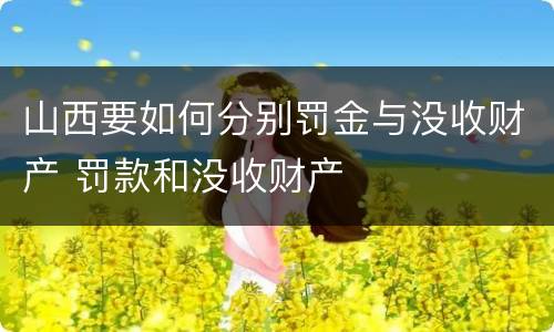 山西要如何分别罚金与没收财产 罚款和没收财产