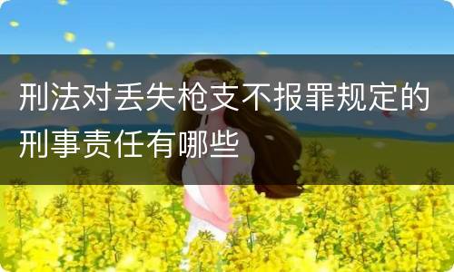 刑法对丢失枪支不报罪规定的刑事责任有哪些