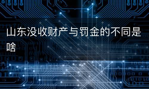 山东没收财产与罚金的不同是啥