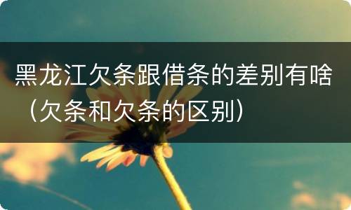 黑龙江欠条跟借条的差别有啥（欠条和欠条的区别）