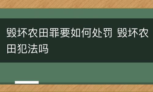 毁坏农田罪要如何处罚 毁坏农田犯法吗