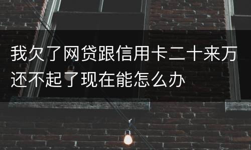 我欠了网贷跟信用卡二十来万还不起了现在能怎么办