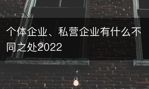个体企业、私营企业有什么不同之处2022