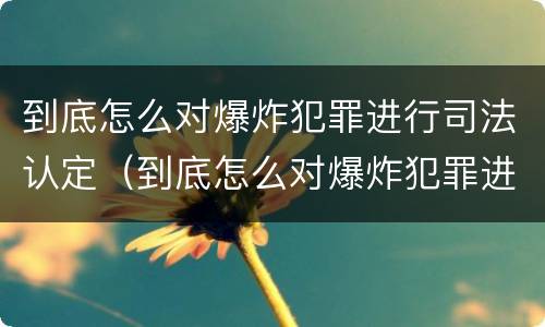 到底怎么对爆炸犯罪进行司法认定（到底怎么对爆炸犯罪进行司法认定和处理）