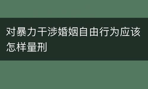 对暴力干涉婚姻自由行为应该怎样量刑