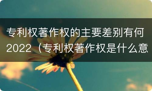 专利权著作权的主要差别有何2022（专利权著作权是什么意思）