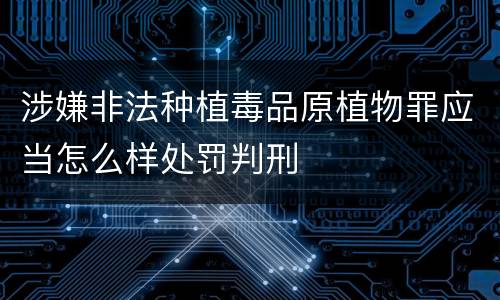涉嫌非法种植毒品原植物罪应当怎么样处罚判刑