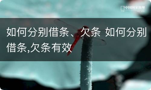 如何分别借条、欠条 如何分别借条,欠条有效