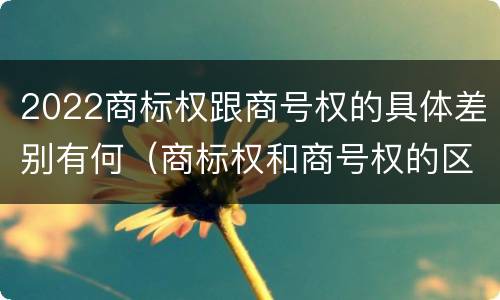 2022商标权跟商号权的具体差别有何（商标权和商号权的区别）