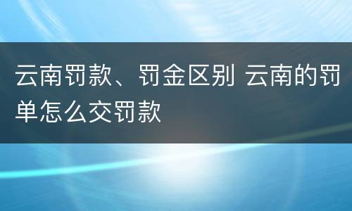 云南罚款、罚金区别 云南的罚单怎么交罚款