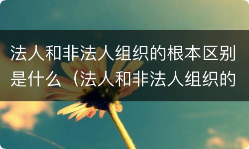 法人和非法人组织的根本区别是什么（法人和非法人组织的根本区别是什么?举例说明）