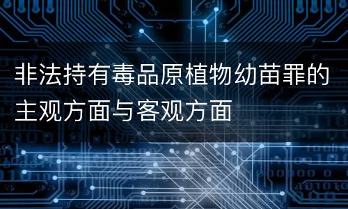非法持有毒品原植物幼苗罪的主观方面与客观方面