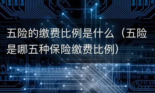 五险的缴费比例是什么（五险是哪五种保险缴费比例）