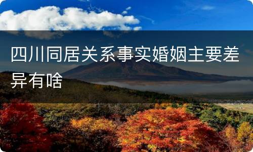 四川同居关系事实婚姻主要差异有啥