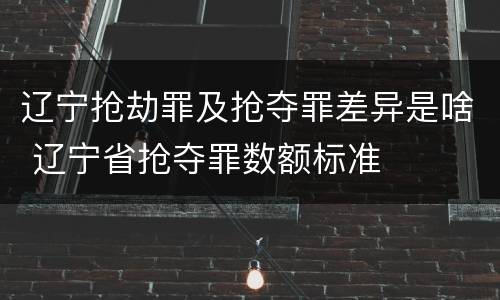 辽宁抢劫罪及抢夺罪差异是啥 辽宁省抢夺罪数额标准