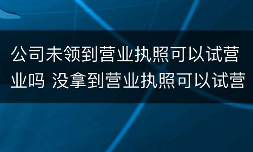 公司未领到营业执照可以试营业吗 没拿到营业执照可以试营业吗