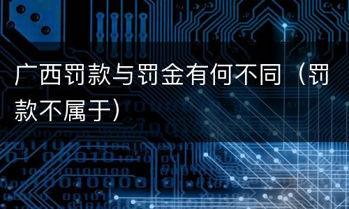 广西罚款与罚金有何不同（罚款不属于）