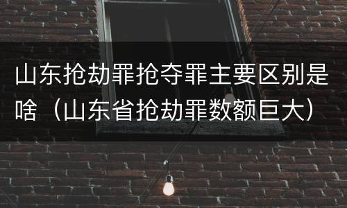 山东抢劫罪抢夺罪主要区别是啥（山东省抢劫罪数额巨大）