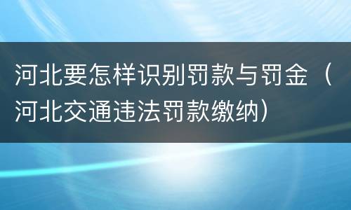 河北要怎样识别罚款与罚金（河北交通违法罚款缴纳）