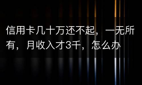 信用卡几十万还不起，一无所有，月收入才3千，怎么办
