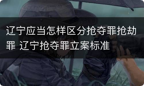 辽宁应当怎样区分抢夺罪抢劫罪 辽宁抢夺罪立案标准