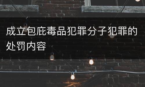 成立包庇毒品犯罪分子犯罪的处罚内容