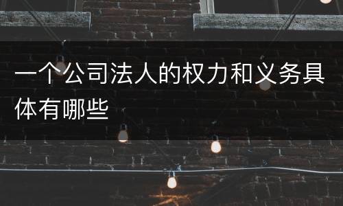 一个公司法人的权力和义务具体有哪些