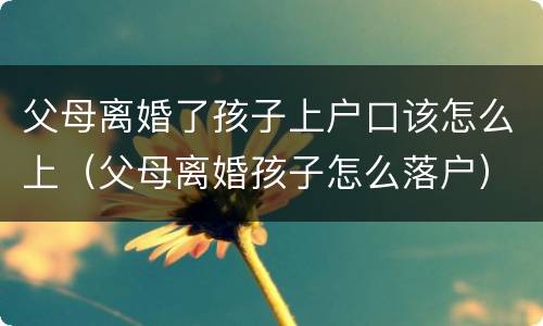 父母离婚了孩子上户口该怎么上（父母离婚孩子怎么落户）