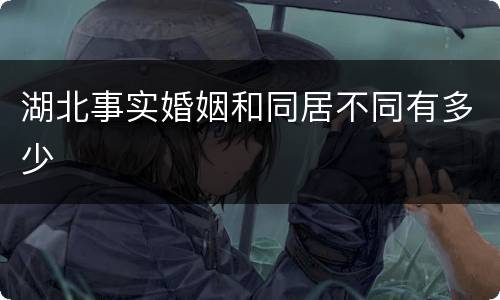 湖北事实婚姻和同居不同有多少