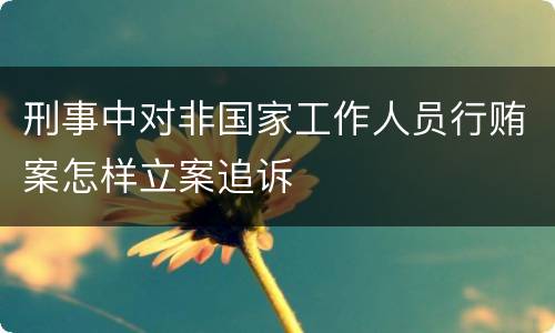刑事中对非国家工作人员行贿案怎样立案追诉
