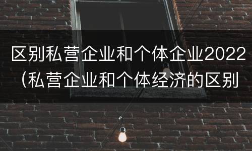 区别私营企业和个体企业2022（私营企业和个体经济的区别）