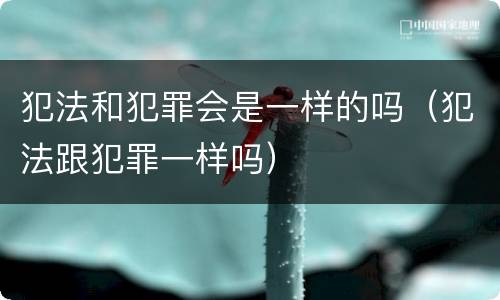 犯法和犯罪会是一样的吗（犯法跟犯罪一样吗）