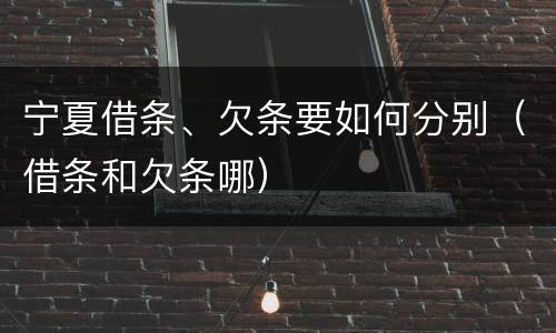 宁夏借条、欠条要如何分别（借条和欠条哪）