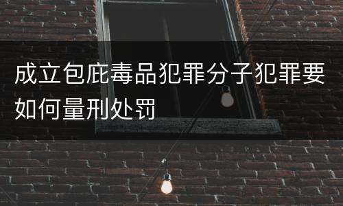 成立包庇毒品犯罪分子犯罪要如何量刑处罚
