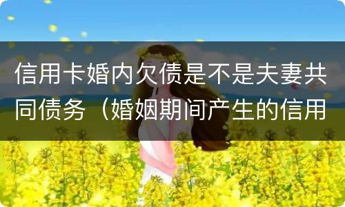 信用卡婚内欠债是不是夫妻共同债务（婚姻期间产生的信用卡债务）