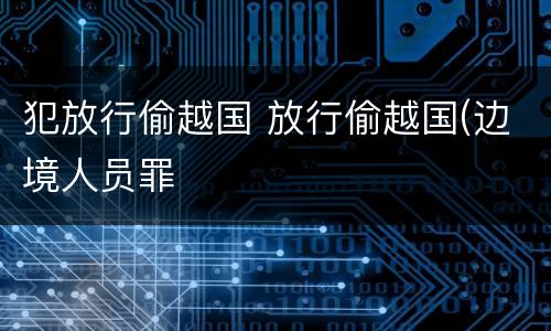 犯放行偷越国 放行偷越国(边境人员罪