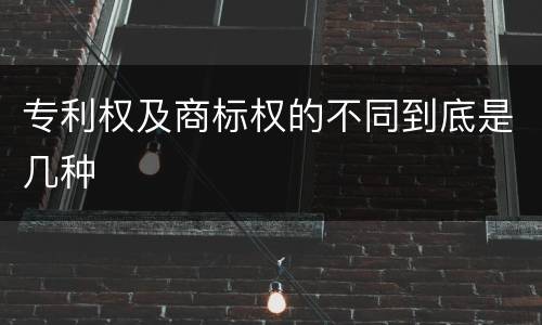 专利权及商标权的不同到底是几种