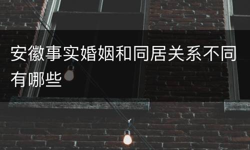 安徽事实婚姻和同居关系不同有哪些