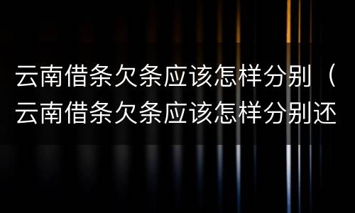 云南借条欠条应该怎样分别（云南借条欠条应该怎样分别还款）
