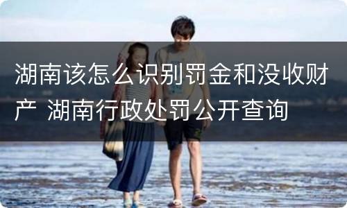 湖南该怎么识别罚金和没收财产 湖南行政处罚公开查询