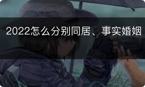 2022怎么分别同居、事实婚姻