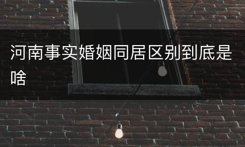 河南事实婚姻同居区别到底是啥