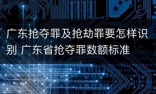 广东抢夺罪及抢劫罪要怎样识别 广东省抢夺罪数额标准