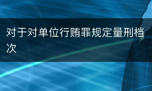 对于对单位行贿罪规定量刑档次
