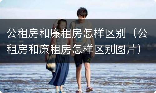 公租房和廉租房怎样区别（公租房和廉租房怎样区别图片）