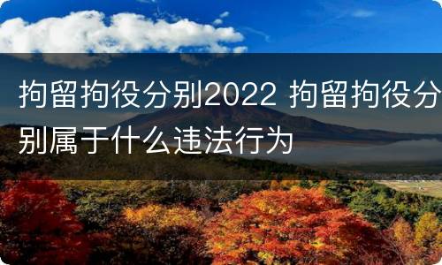拘留拘役分别2022 拘留拘役分别属于什么违法行为