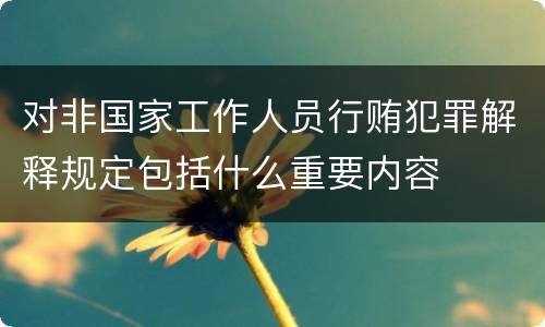 对非国家工作人员行贿犯罪解释规定包括什么重要内容