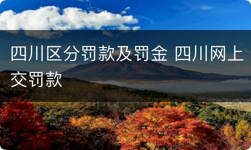 四川区分罚款及罚金 四川网上交罚款