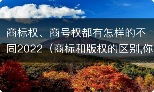 商标权、商号权都有怎样的不同2022（商标和版权的区别,你知道多少?）